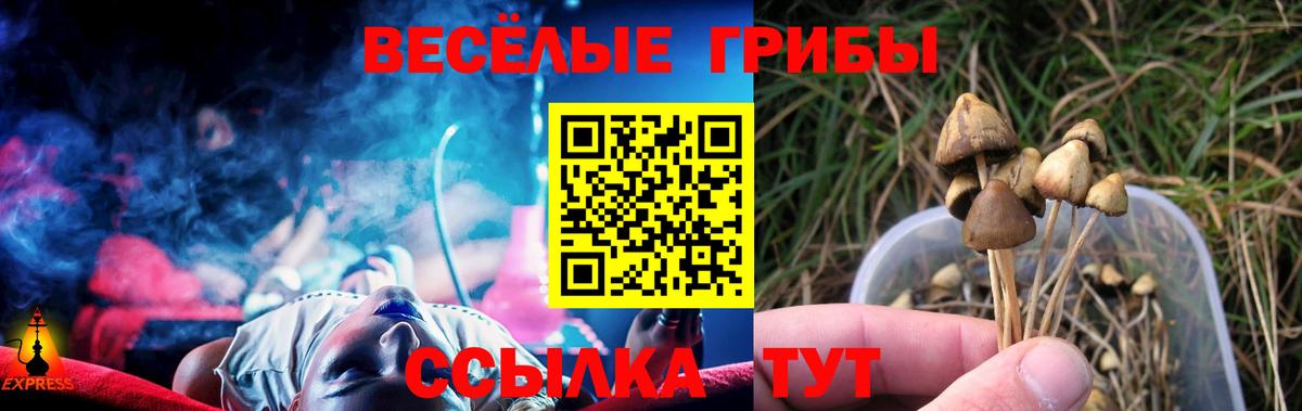 Галлюциногенные грибы Cubensis Реутов